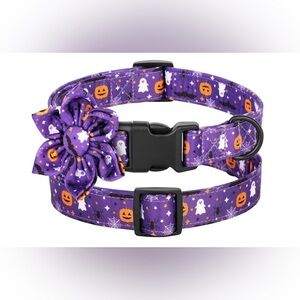 Purple Halloween Female Dog Collar with Bow, size Medium